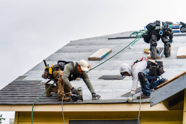 Professional Flat Roof Repair technician working in Centuria, WI